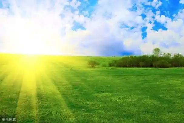 秋天早晨的阳光句子秋天早晨的句子短句唯美图片