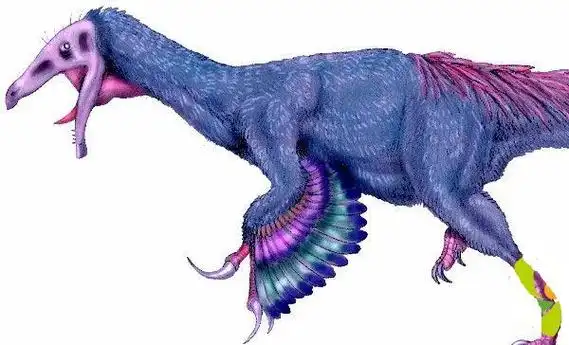 北票龙:体型第二大有羽毛恐龙(长2.2米/中国辽宁出土)