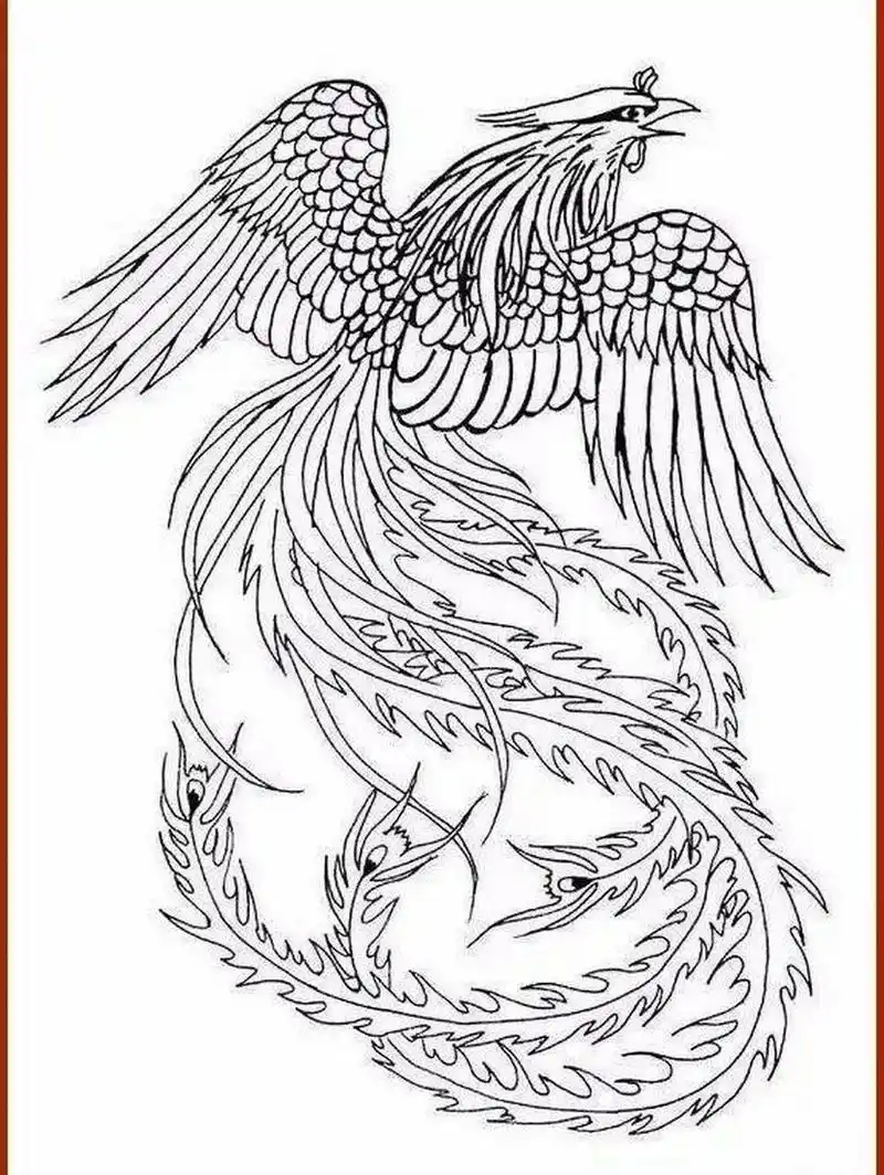 素材 | 一组优美的凤凰白描线稿18图(1) 【素材 | 一组优美的凤凰白描