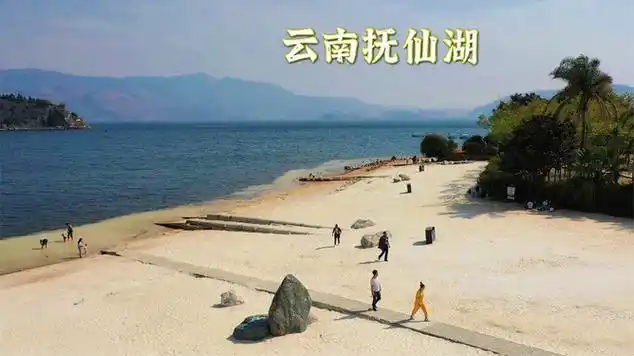 这里的湖景太迷人了|云南省|云南玉溪旅游|美景分享|玉溪抚仙湖|森林