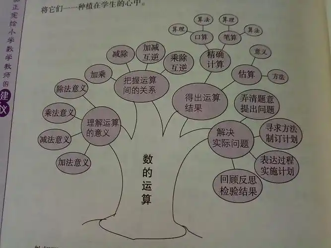 读吴正宪给小学数学教师的建议心得之知识树