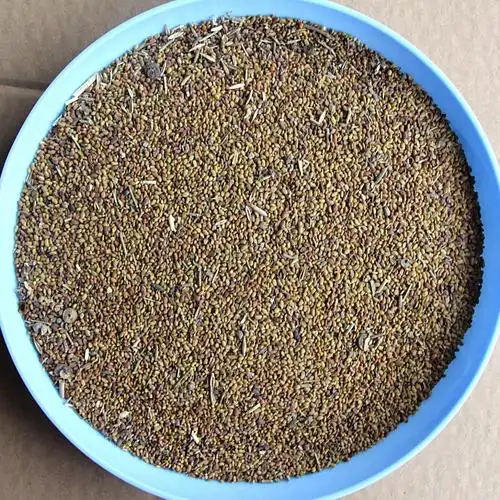 草木犀种子 进口牧草种子 高纯度 黄花苜蓿种子 优惠 好种的种子