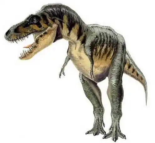 原创矮暴龙我是谁我在哪为啥有人说我爸爸是霸王龙