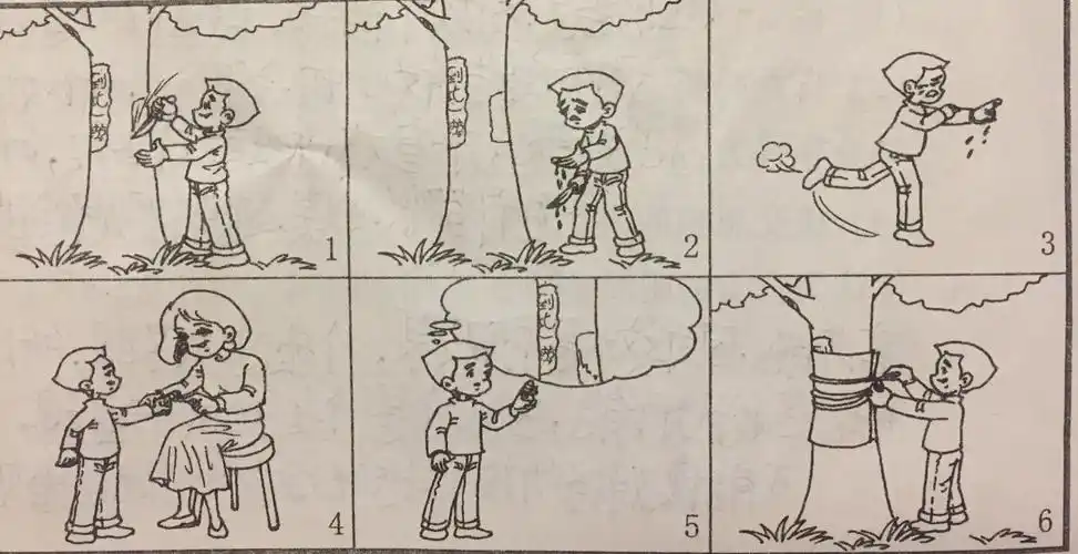 写想法;4,亮观点------浅谈如何将看图作文中的重点图写详细