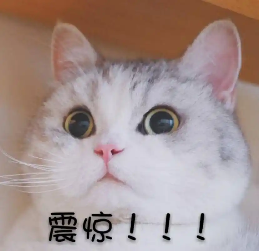 otouch|傻了,男女菊花位置不一样?