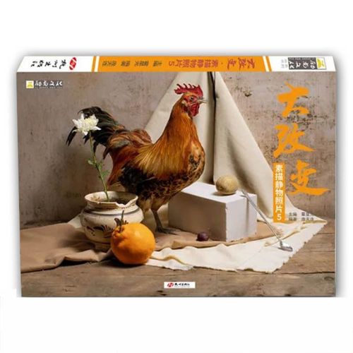 大改变素描静物照片5 励尚文化单体组合几何体静物照片写生对画