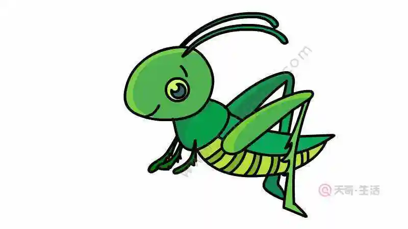 笔画怎么画儿童彩色简笔画卡通动物蝗虫蝗虫简笔画蚂蚱蝗虫简笔画图片