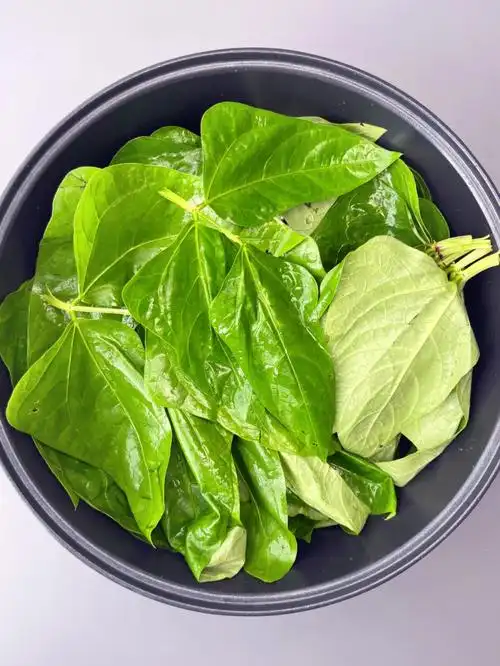 豆叶煮汤60156015我家夏天必吃的豆角叶!