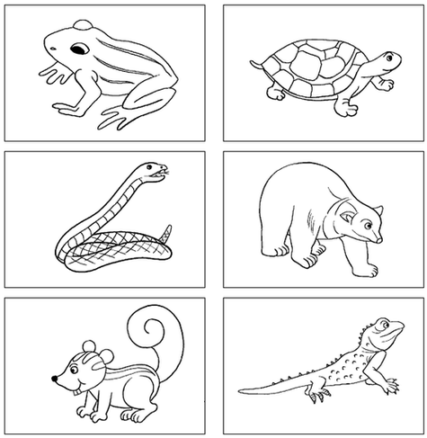 冬眠的小动物风景简笔画