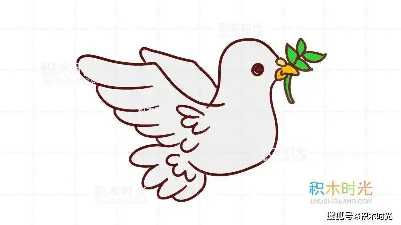 鸽子简笔画绘画步骤图解