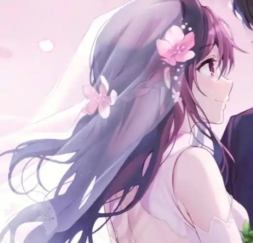 q版创意的各类型动漫男女人物裁剪一人一半情侣头像