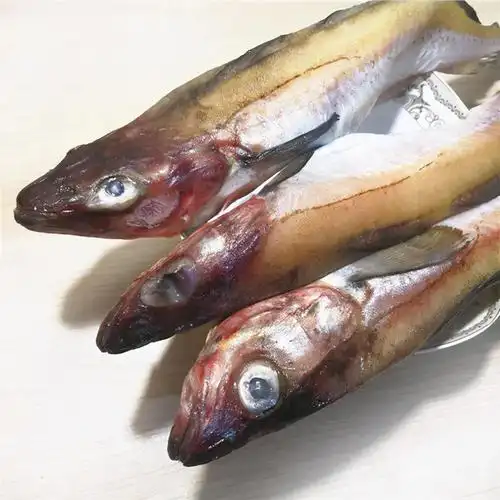 俄罗斯明太鱼大量出口原因(明太鱼的江湖韩国吃掉80%产量) - 生活百科