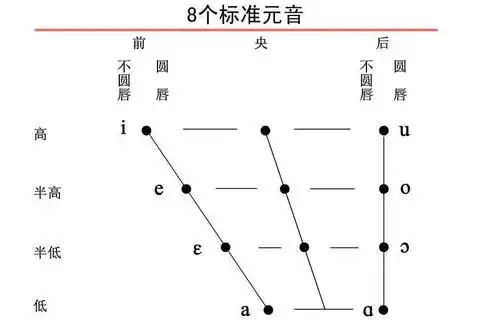 元音字母中的单元音和双元音分别怎么发音?