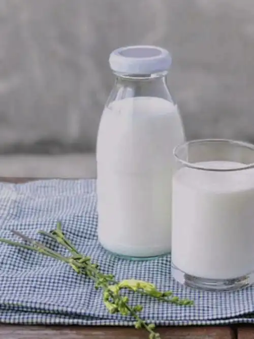 喝牛奶真的助眠吗很多人都搞错了