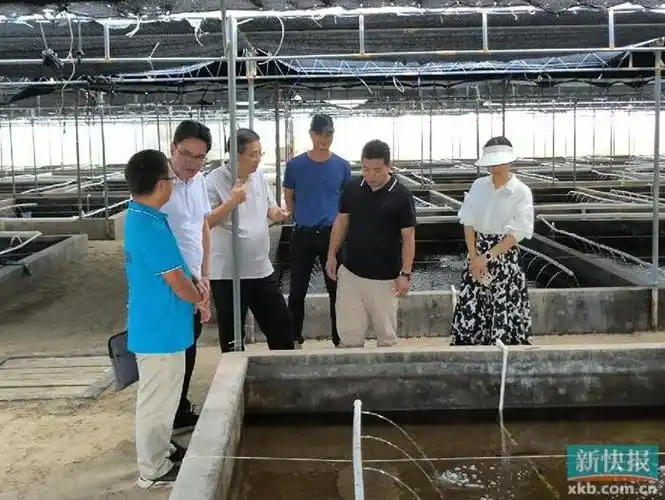 湛江和安镇:专家面对面培训 助力东风螺,石斑鱼产业振兴发展|湛江市