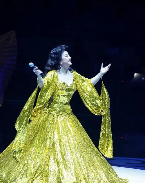 (图片摄于2012年,徐小凤金光灿烂北京演唱会,花甲之年才登北京舞台