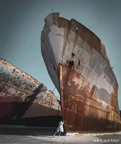 巨物恐惧症:力量的压迫,看到这些巨物照片你会感到头皮发麻吗?