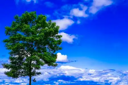 蓝天白云公园图片