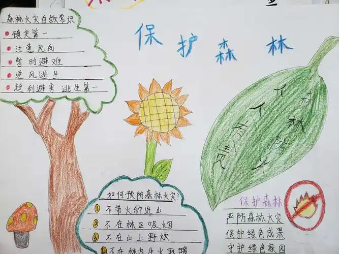 森林消防 人人有责--南阳市示范区第三十三小学二六班消防安全手抄报