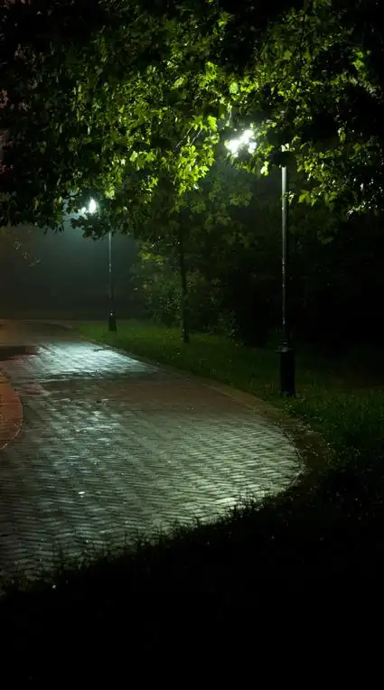 原创作品:七夕的雨夜