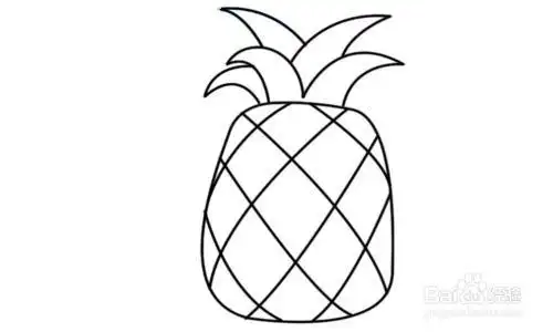 菠萝的简笔画怎么画