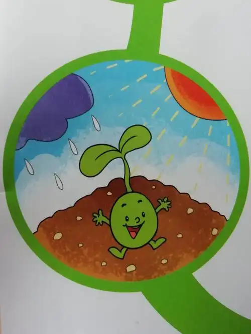 鲁庄中心幼儿园中班级主题活动《一粒小种子》