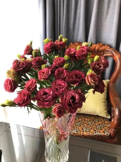 鲜花洋桔梗|养护及图鉴,真诚不变的爱,只给唯一的那个人