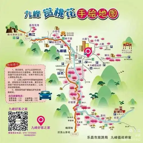 九峰赏花 花开半