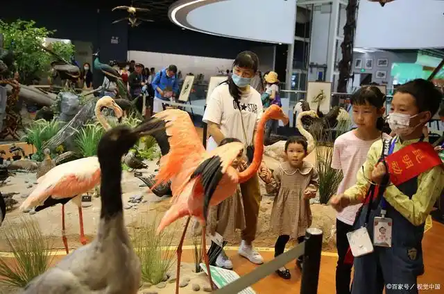 成都第一家自然博物馆:拾野自然博物馆