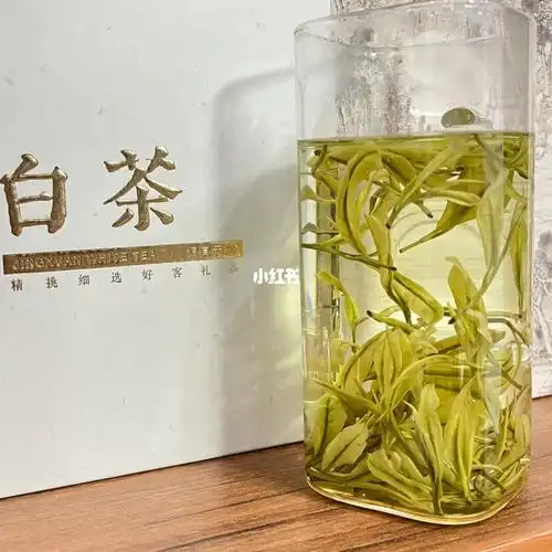 口粮高山安吉白茶9078一份
