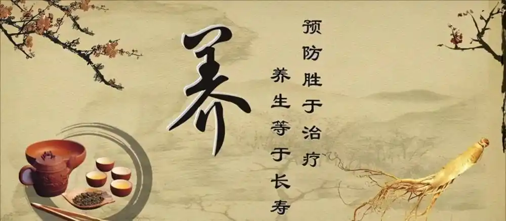 『中医艾灸』健康养生治未病,艾灸扮演着重要角色