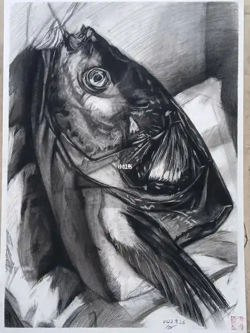 鱼头素描静物