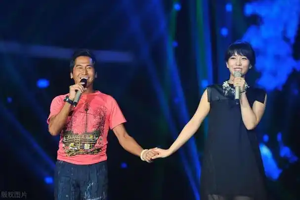 情歌对唱的歌曲有哪些 - 冷求网