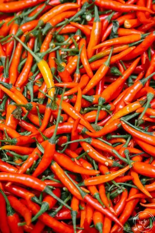 辣辣辣华山路江西菜小酒馆招牌菜把人辣哭了