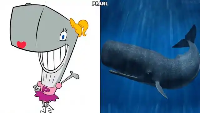 《海绵宝宝》现实版,蟹老板和凯伦本色出演,海绵宝宝让人害怕