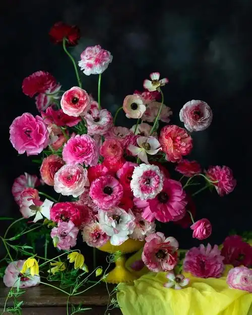 花花世界,繁若星辰