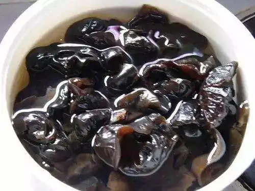 7岁的雯雯因吃了浸泡了2天2夜的黑木耳中毒,导致全身多脏器功能衰竭