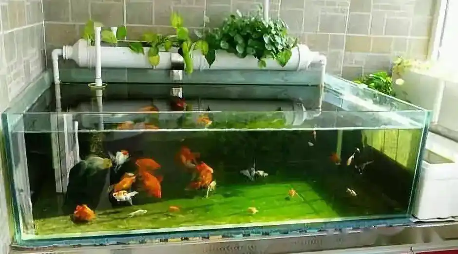 计算鱼缸的水体体积,以60*45*45cm的鱼缸为例,假设水位是40cm高,那么