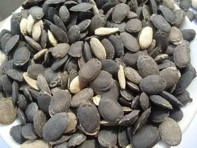 丝瓜籽治滑膜炎膝盖疼