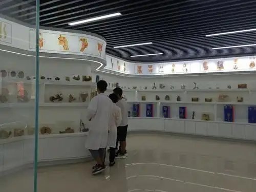 我院开展人体标本展活动