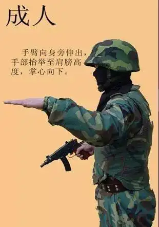 国防教育知识部队军事手语