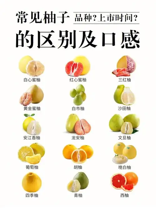柚子合集常见柚子的区别与口感一次看懂