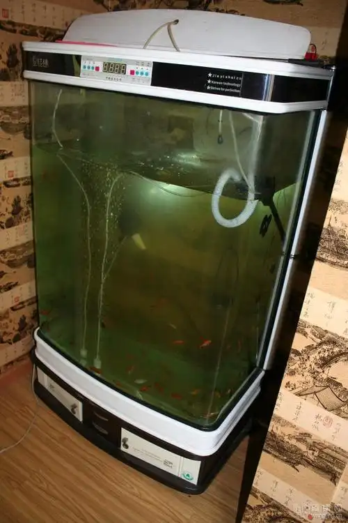 个人急处理1米15米2米鱼缸还有漂亮的观赏鱼