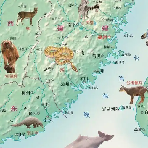 中国地图野生动物少儿知识地图挂图超大2018版书房贴图用立体3d动物