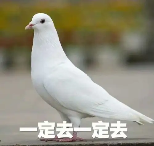 枝和 的不