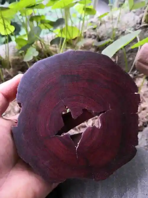 紫檀印度小叶1号风化拆房老料雕刻摆件佛珠摆件