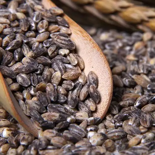 黑小麦 麦仁农家黑麦米去皮黑麦 富硒黑小麦250g 五谷杂粮 黑麦仁