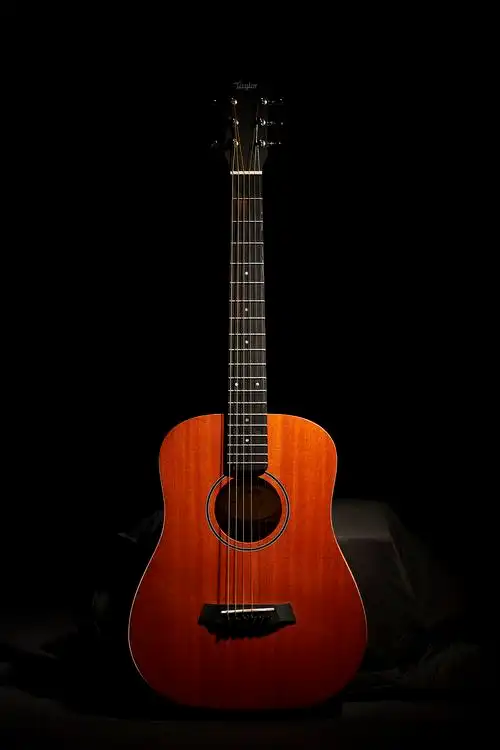taylor 吉他