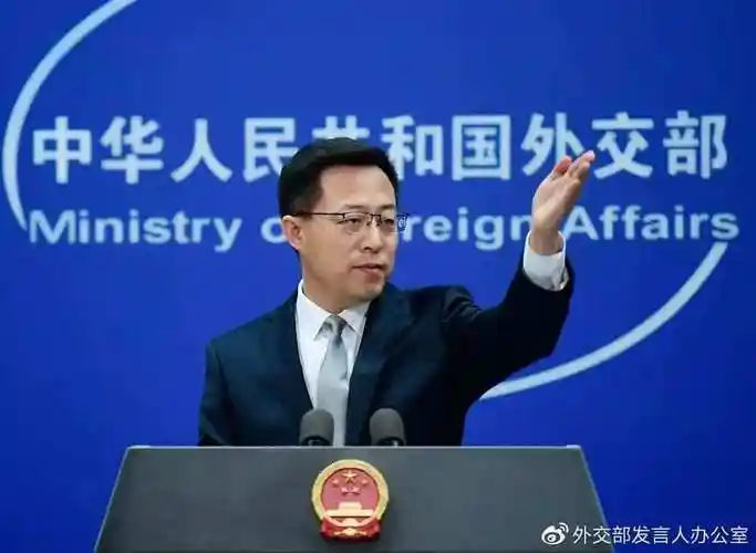 圈粉无数看外交天团的学生时代有多出色附话题作文