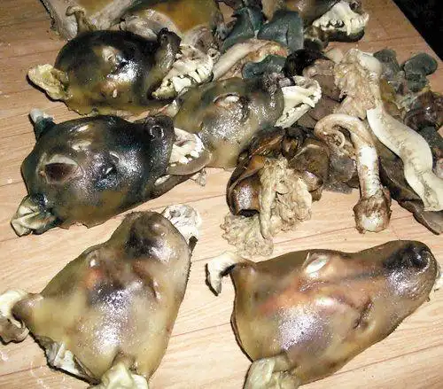 雷州特色菜白切狗